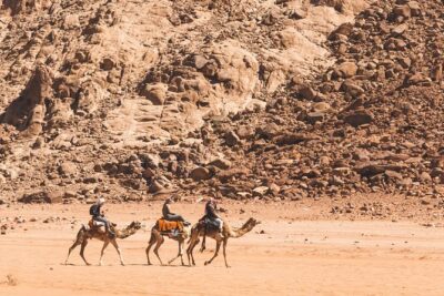 Wadi Rum: Camel Trek Adventure - Wadi Rum Protected Area: what you’ll see on the ride