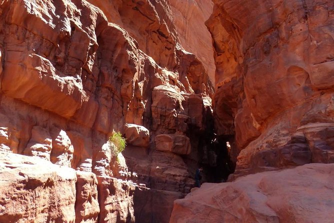 Wadi Rum: Camel Trek Adventure - Photos and the good kind of stopping