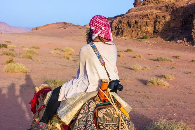 Wadi Rum: Camel Trek Adventure - Camels, care, and how the experience feels
