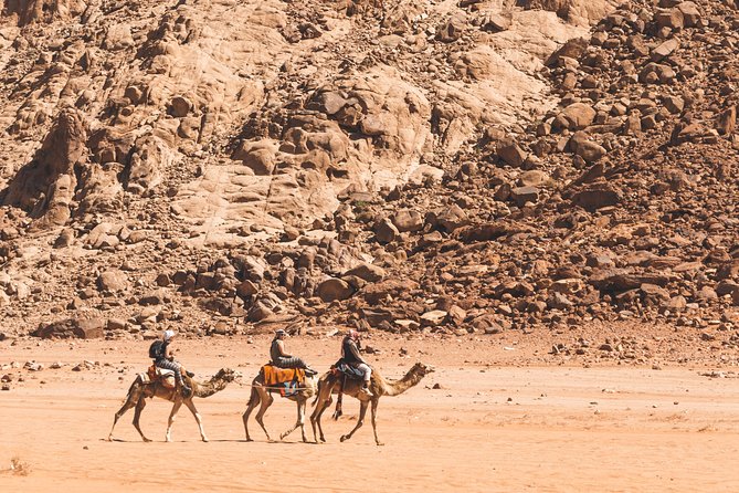 Wadi Rum: Camel Trek Adventure - Wadi Rum Protected Area: what you’ll see on the ride