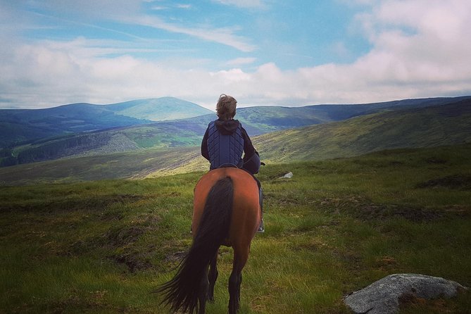 Wicklow Mountains Horse Trekking - Key things to know before you saddle up