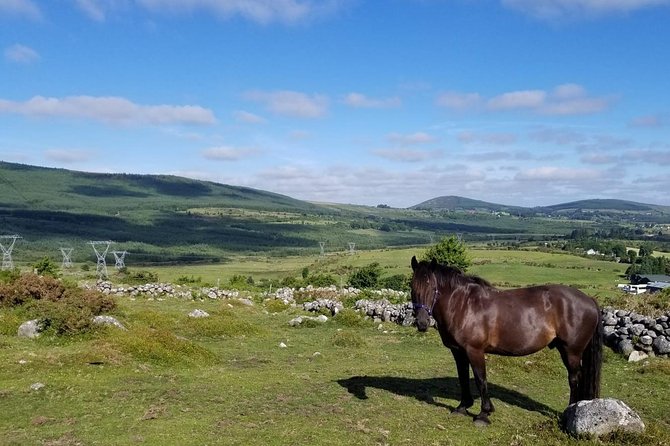 Wicklow Mountains Horse Trekking - Why Wicklow on horseback beats a bus ride