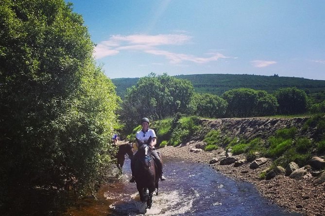 Wicklow Mountains Horse Trekking - Beginners welcome, with real instruction before you move