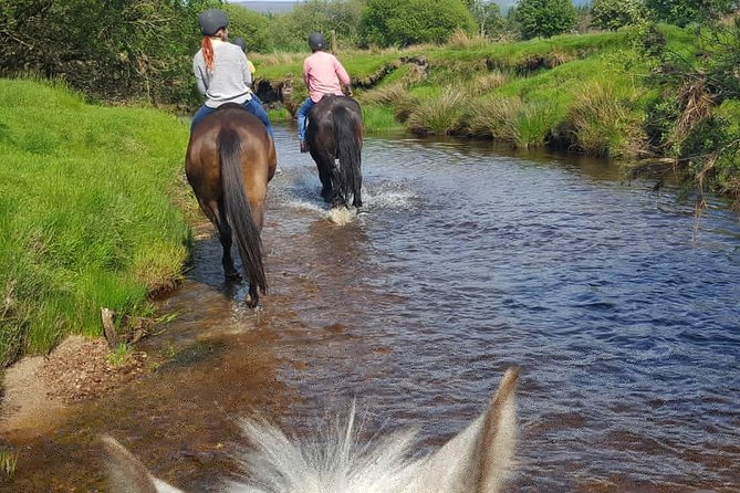 Wicklow Mountains Horse Trekking - Who should book (and who might reconsider)