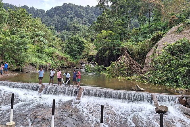 Wild Elephant Anakulam & Waterfalls Tour(munnar valley Trekking) - Perumbankuthu Waterfalls + Local Food Break