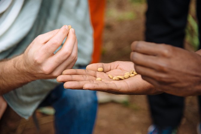 Women-led Coffee Farm Trek - Getting started at Question Coffee Gishushu and why the small group matters