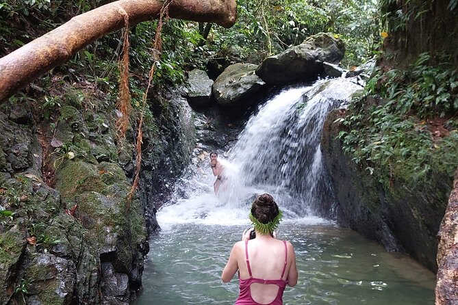 Wonderful 2Days 1Night Bukit Lawang Jungle Trekking Free Rafting - What you can realistically see: orangutans, monkeys, and rarer primates