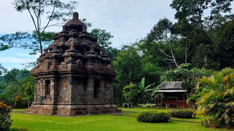 Yogyakarta: Selogriyo Temple and Rice Terrace Soft Trekking - How the 6 Hours Usually Feel in Real Life