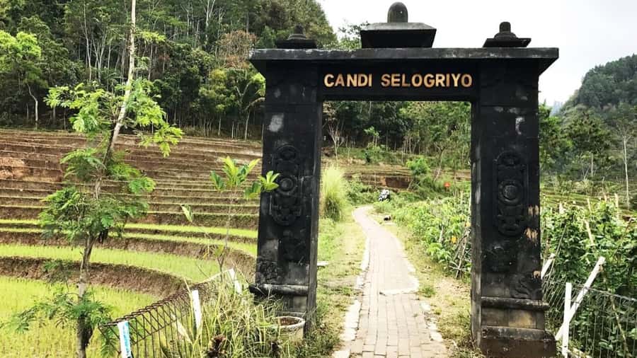 Yogyakarta: Selogriyo Temple and Rice Terrace Soft Trekking - Price and Value: Is $40 a Good Deal for Selogriyo?