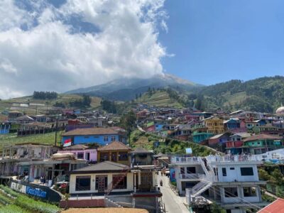 Yogyakarta :selogriyo temple, rice field trek& nepalvan java - Watching farmers work: planting, harvesting, and village routines