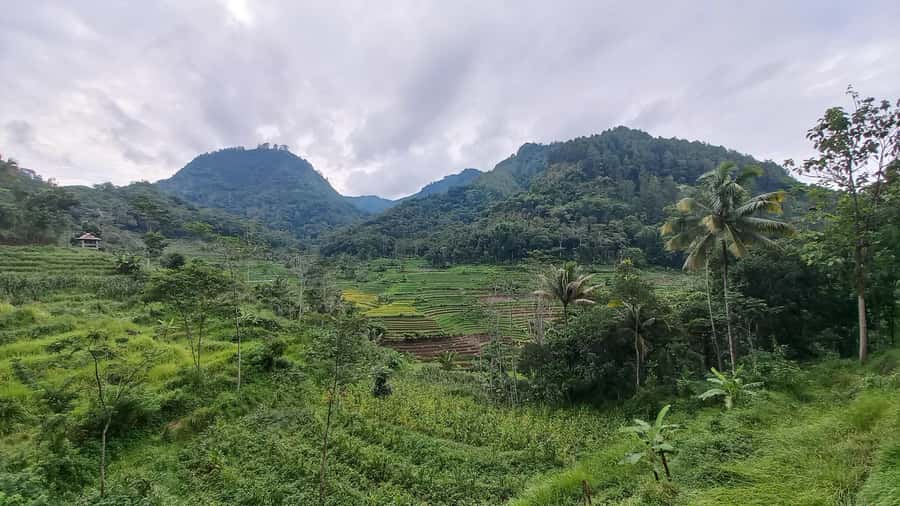 Yogyakarta :selogriyo temple, rice field trek& nepalvan java - Who this tour suits best