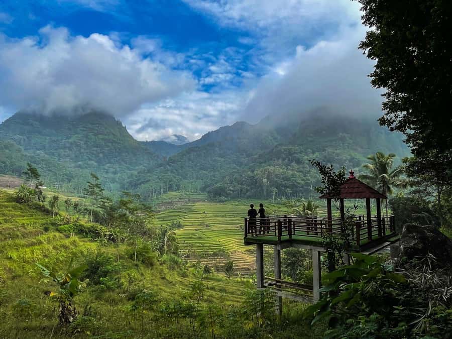 Yogyakarta :selogriyo temple, rice field trek& nepalvan java - Should you book this Selogriyo and Nepalvan Java day trip?
