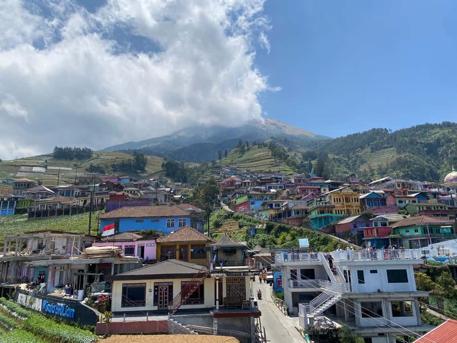 Yogyakarta :selogriyo temple, rice field trek& nepalvan java - Watching farmers work: planting, harvesting, and village routines