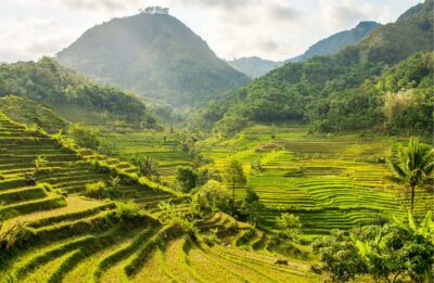Yogyakarta: Selogriyo Temple Tour & Java Rice Terrace Trek - Walking up: the Selogriyo approach that makes the day feel worth it