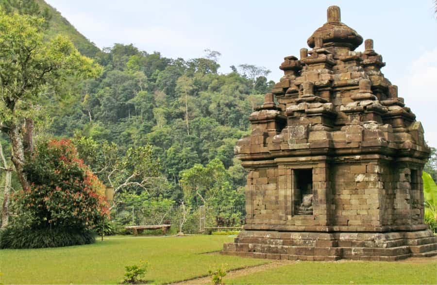 Yogyakarta: Selogriyo Temple Tour & Java Rice Terrace Trek - Rice-terrace trek: what you’ll actually see in the fields
