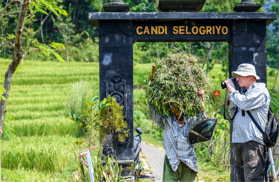 Yogyakarta: Selogriyo Temple Tour & Java Rice Terrace Trek - Price and value: what $55 buys you in real terms